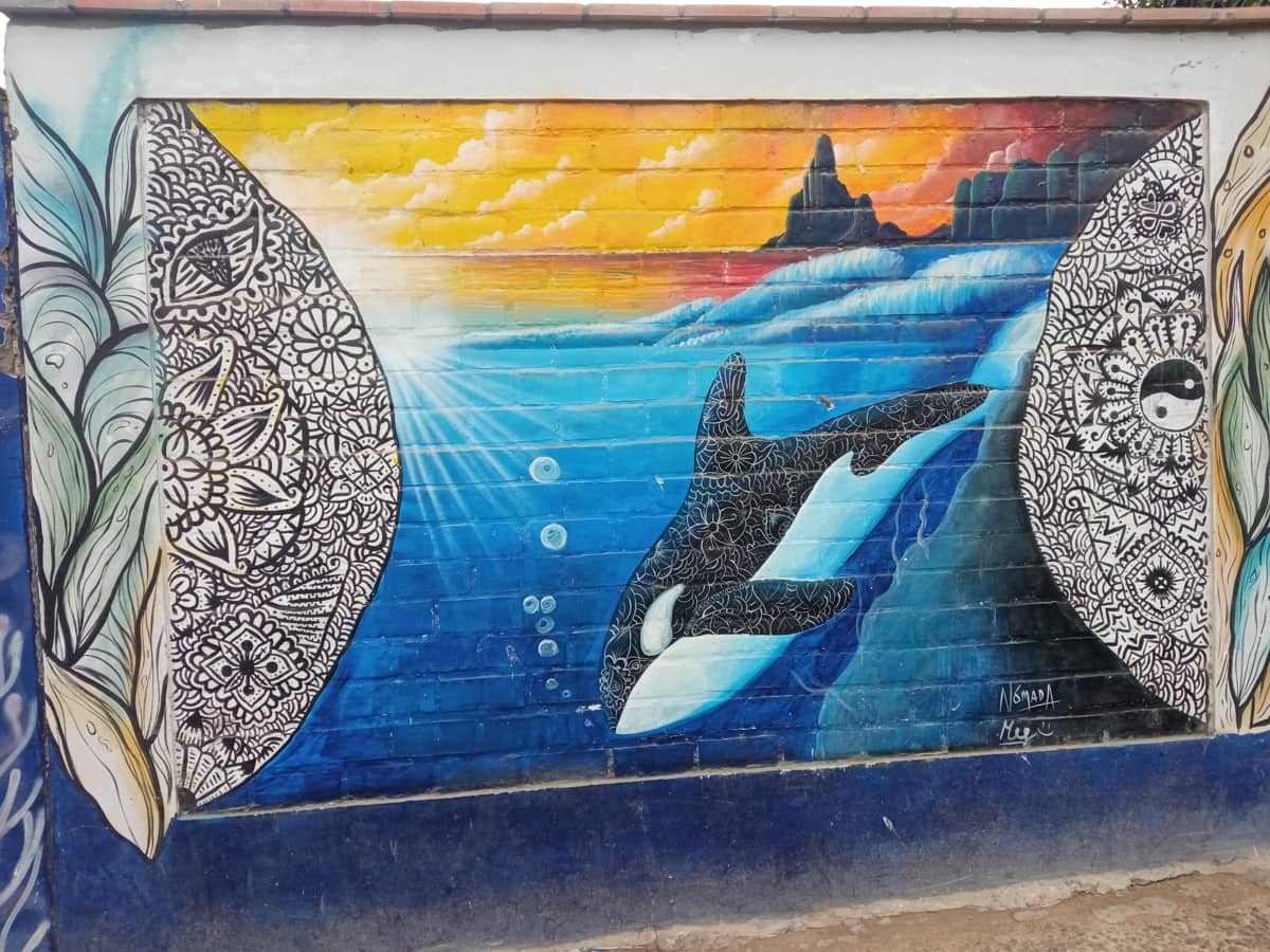 murales en punta hermosa