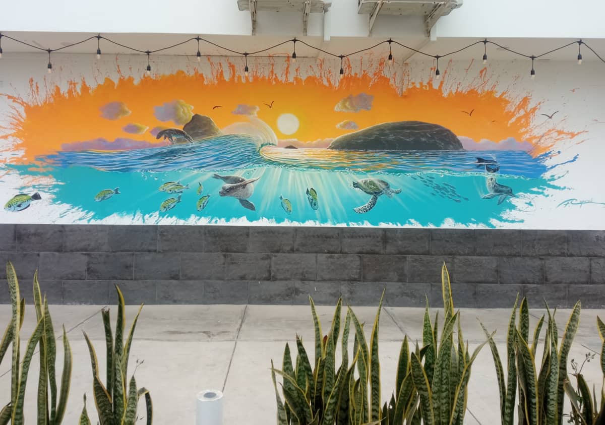 mural de caporali en punta hermosa